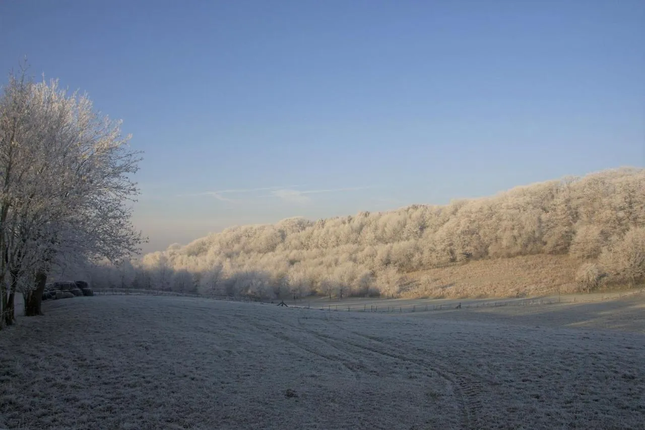 Chalet Stacaravan In De Natuur Bij Maastricht Villa Ulestraten